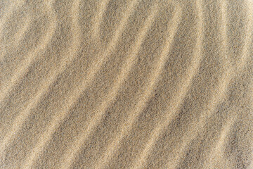 playa de Aveiro en invierno, Traditional houses and Aveiro beach in winter