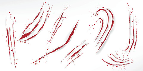 Set of bloody claw marks and scratches with splatters on white backdrop © md