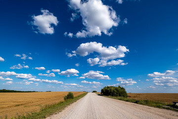 Fototapeta premium Gravel road among agricultural fields