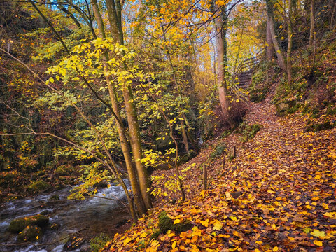 Autumn Colours at The Howk Limestone Gorge with Bobbin Mill Ruins and Waterfall, Caldbeck