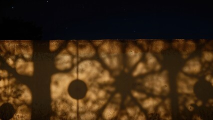 Shadows of tree branches and leaves projected onto a wall at night under a starry sky.
