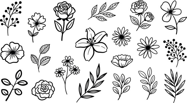 Vector Illustration of Hand-Drawn Floral Elements Set. Elegant Botanical Flower and Leaf Doodles for Design.