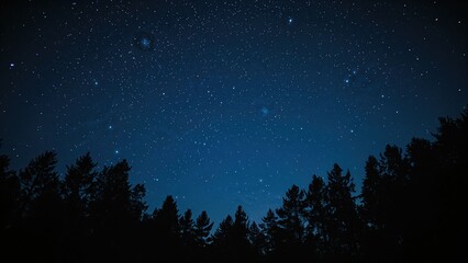 Fototapeta premium Clear night sky with stars above trees, showing the beauty of nature and the cosmos.