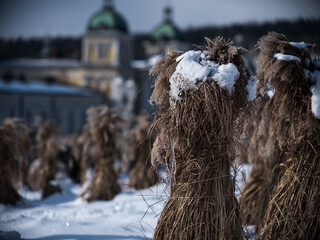 Winter Kurpark Marienbad