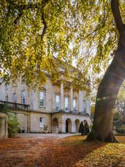 Autumn Atmosphere with Falling Leaves in Bath, Somerset