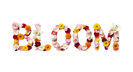 The word "bloom" made of colorful flowers, top view isolated on a transparent background