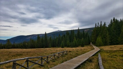 Szlak turystyczny w g&oacute;rach 