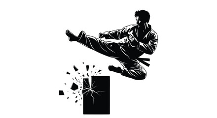 Fototapeta premium Martial artist breaking object with kick vector