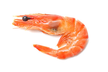The shrimp has a distinct orange and pink color on white background, characteristic of being cooked. It is curled slightly into a 'C' shape