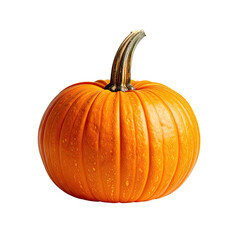 Orange pumpkin with stem, on black background, vertical orientation