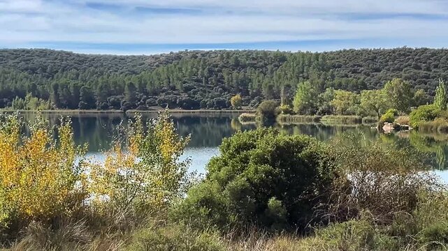 Bosque alrededor de la Laguna del Rey en Lagunas de Ruidera
