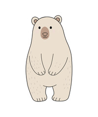 Adorable polar bear standing upright, a charming illustration with simple lines and soft colors