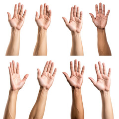 Diverse hands Variety of human skin tones, raised palms, isolated