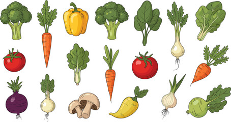 Fresh colorful assorted vegetables illustration including broccoli, carrots, tomatoes, onions, peppers, spinach, mushrooms