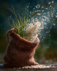 "Rice Seeds Spread South - Weight of Life", Xia-Shang-Zhou Miao Migration, Rice Seed Inheritance, Red Soil Seedling Civilization