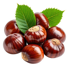 Chestnut pile Shiny brown nuts clustered with vibrant green leaves