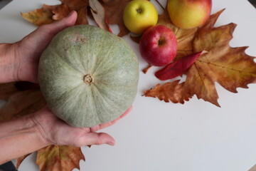 Hand holding a pumpkin on the autumn background.