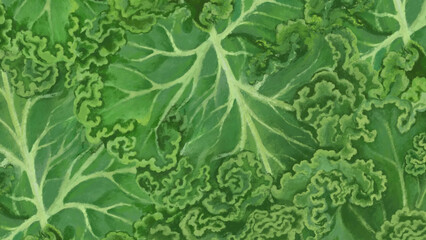 Fototapeta premium Kale vegetable desktop wallpaper, green background