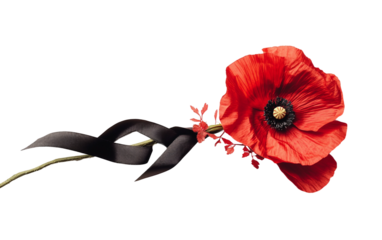 Commemorative medal ribbon wrapped around a vibrant red poppy representing respect