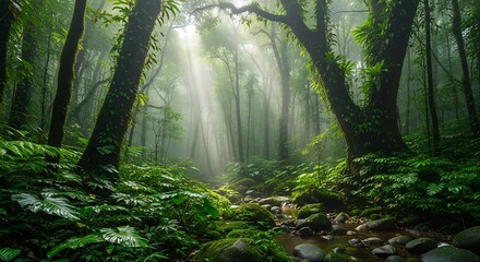 A misty forest scene bathed in sunlight, with lush green foliage, a flowing stream, and a canopy of trees