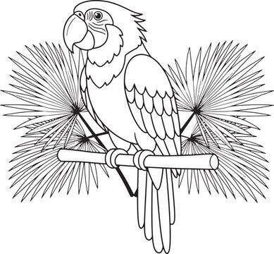 Line art illustration of a parrot