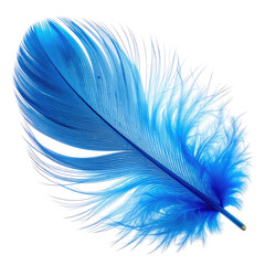 Vibrant, single blue feather against a stark black background