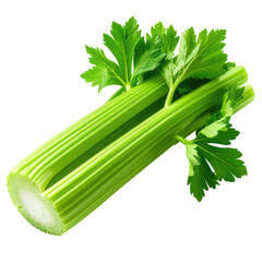 Fresh green stalks of celery with leafy tops on dark background