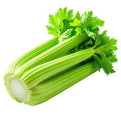 Bunch of fresh, green celery sticks with lush leaves on black backdrop