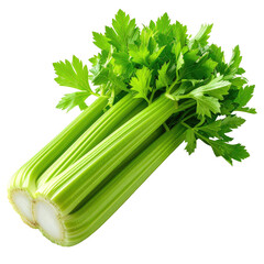 Fresh green celery stalks bundled together, with leafy tops