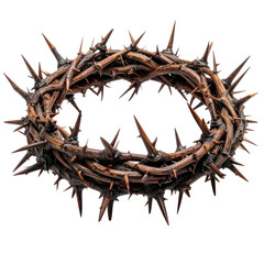 Crown of thorns, made of interwoven branches with sharp thorn points