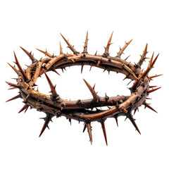 Thorns twisted, crown of suffering against stark black background