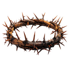 Crown of thorns wood, spikes