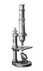 Desktop microscope image, old vintage illustration, 1899