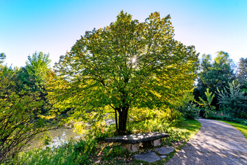 Morning sunshine in the park