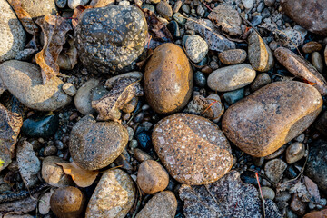River rocks