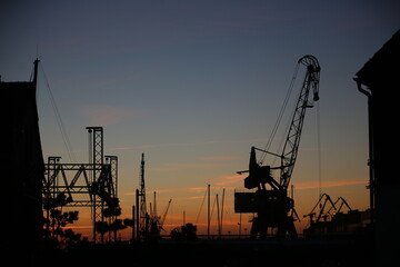 cranes at sunset