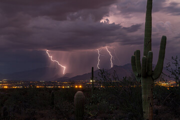 Multiple lightning strikes hitting the ground on the Santa Catalina Mountains near Tucson, Arizona during a monsoon weather event. © PeteLori