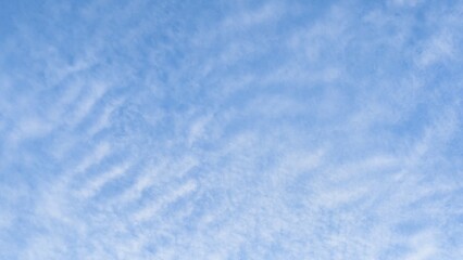 Wavy Altocumulus clouds against the backdrop of the daytime sky  a natural texture for meteorological materials, seasonal design, educational content, and atmospheric projects.