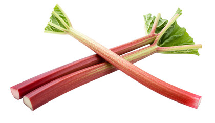 Fresh rhubarb stalks with green leaves arranged in a crossed position on a white background png with transparency