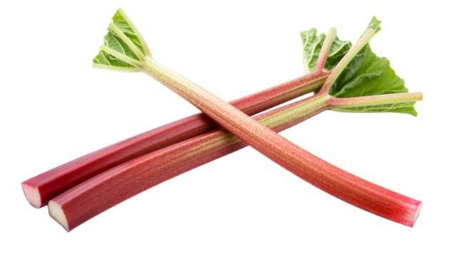 Fresh rhubarb stalks with green leaves arranged in a crossed position on a white background png with transparency - Powered by Adobe