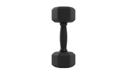 A single black dumbbell with hexagonal ends and a smooth handle resting upright on a plain white background
