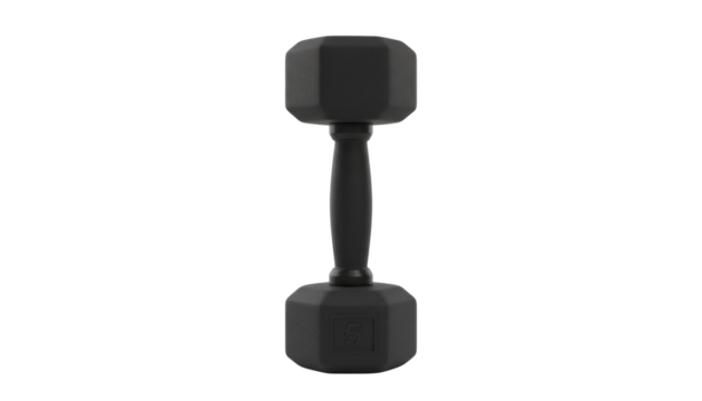 A single black dumbbell with hexagonal ends and a smooth handle resting upright on a plain white background