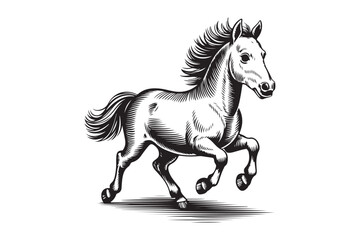 Elegant horse galloping with flowing mane and tail