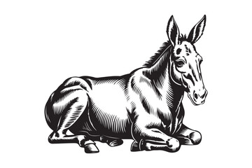 Vintage engraving of a donkey resting on a white background