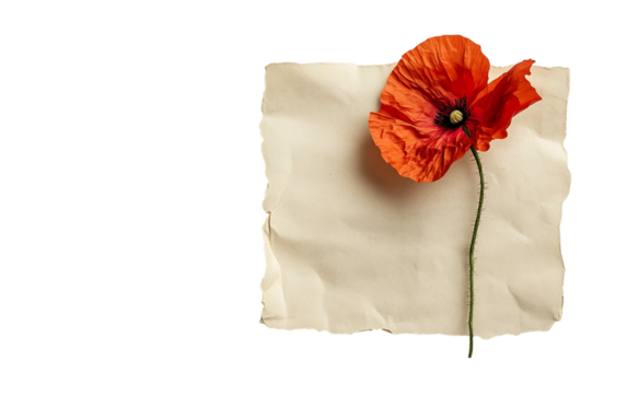 Letter from soldier with poppy placed gently on top symbolizing remembrance and heartfelt tribute to service