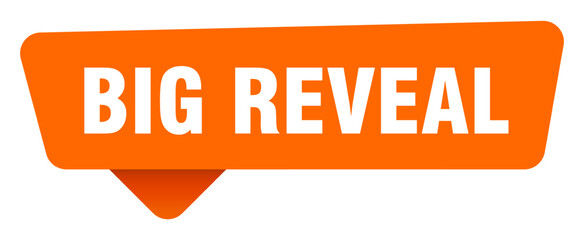 big reveal sticker. big reveal orange sign isolated on transpatent background