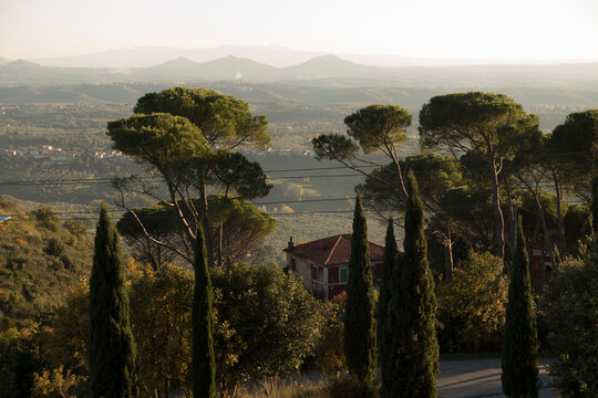 sunset in the mountains with Mediterranean pine trees