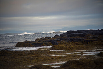 Rocky seaside landscape with waves and seaweed