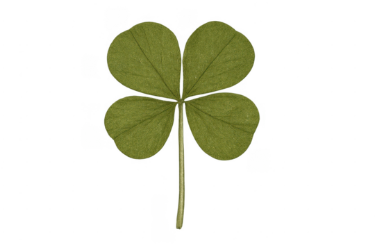 Four leaf clover representing good luck and fortune