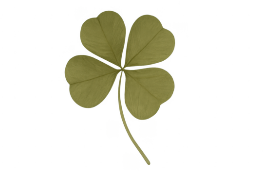 Four leaf clover symbolizing good fortune and luck
